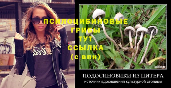MESCALINE Кукмор
