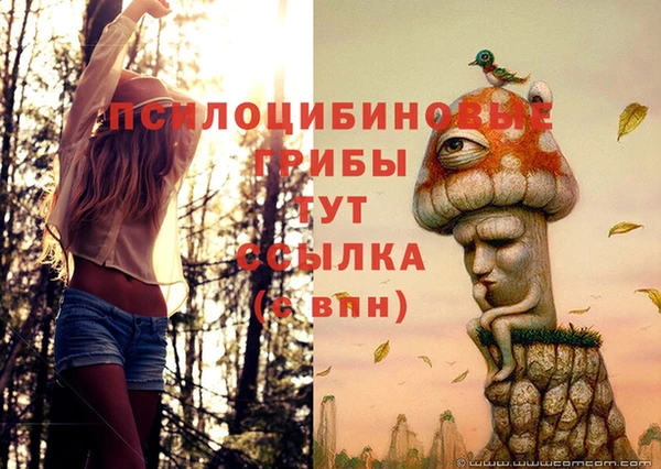 мет Кулебаки