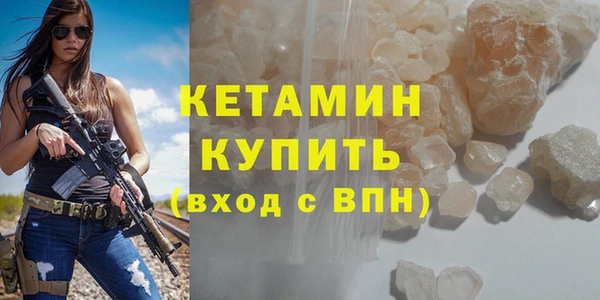 амф Тайга