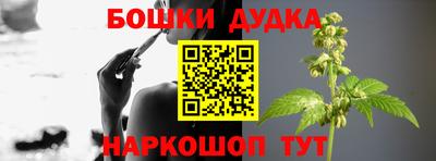Альфа ПВП Новодвинск