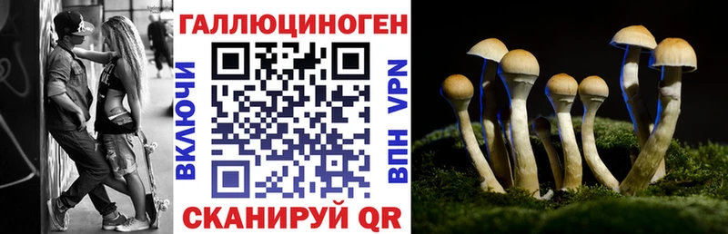 маркетплейс Telegram  Урай  Галлюциногенные грибы GOLDEN TEACHER 